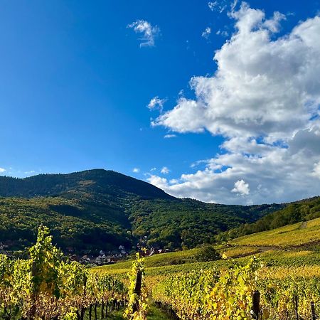 Chambre Du Vigneron - Domaine Leon Bleesz Reichsfeld Luaran gambar