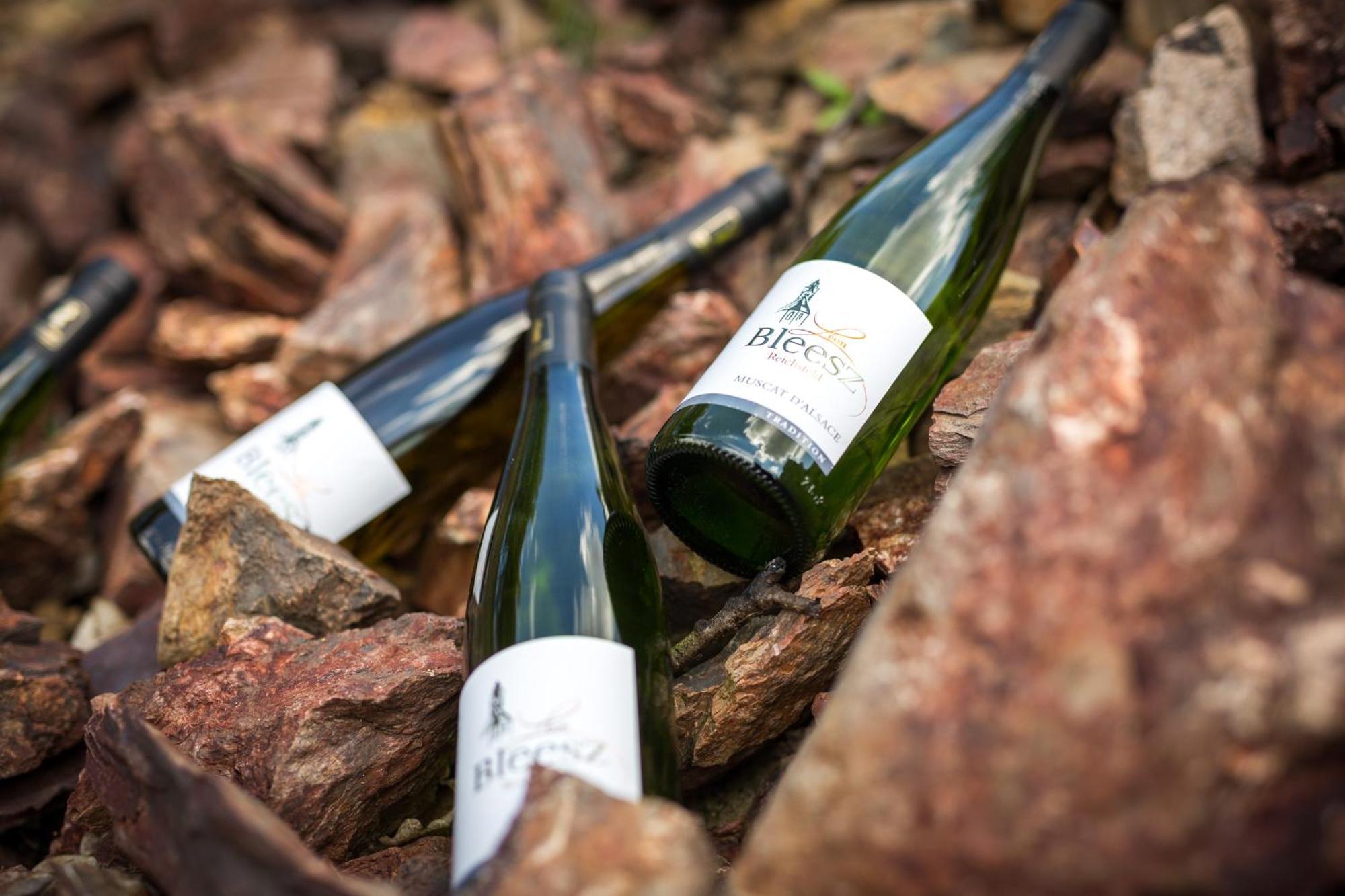 Chambre Du Vigneron - Domaine Leon Bleesz Reichsfeld Luaran gambar